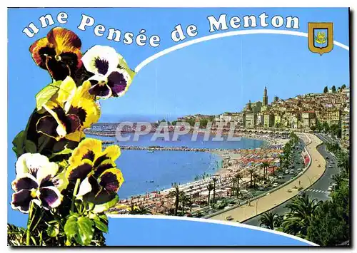 Cartes postales moderne Une Pensee de Menton Alpes Maritimes Vue generale