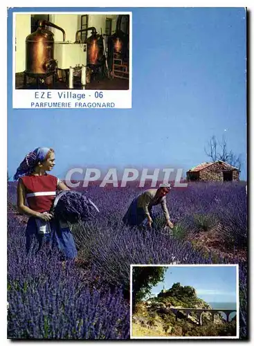 Cartes postales moderne Eze Village Parfumie Fragonard