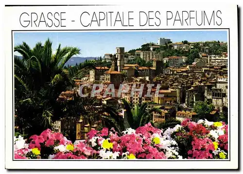 Cartes postales moderne Grasse Capitale des Parfums