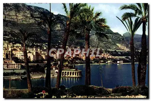 Cartes postales moderne Monte Carlo Le Casino le Tir aux Pigeons vus du Rocher de Monaco