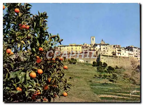 Cartes postales moderne La Cote d'Azur miracle de la nature Saint Paul de Vence AM Vue generale