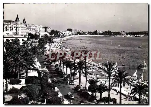 Cartes postales moderne Cannes La Croisette