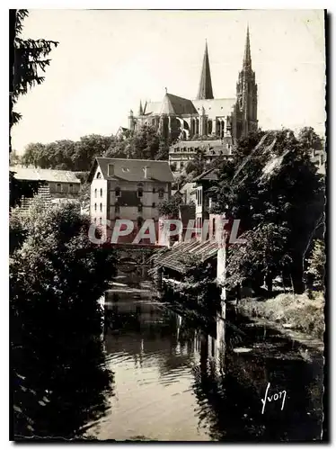 Cartes postales moderne Chartres Eure et Loir Les rives de l'Europe et la Cathedrale