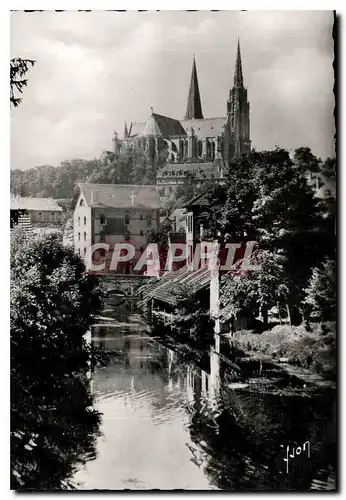 Cartes postales moderne Chartres Eure et Loir Les rives de l'Eure et la Cathedrale