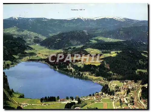 Cartes postales moderne Titisee im Schwarzwald mit Blick zum Feldberg