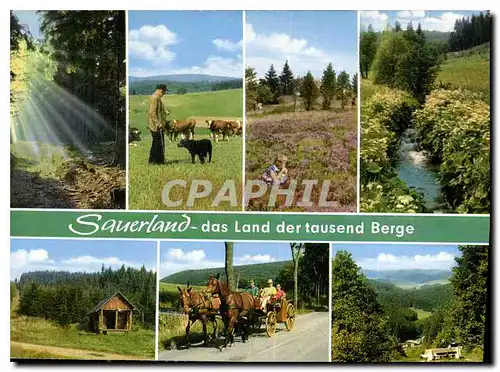 Moderne Karte Sauerland das Land der tausend Berge