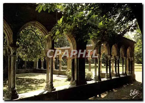 Cartes postales moderne Tarbes Le Jardin Massey