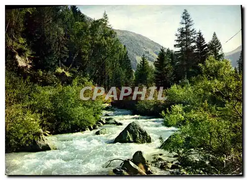 Cartes postales moderne Couleurs et Lumiere de France Torrent de montagne