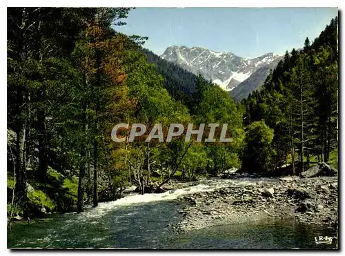 Cartes postales moderne Les Pyrenees Environs de Saint Lary