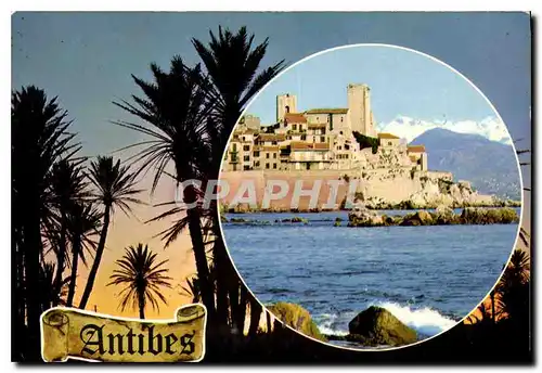 Cartes postales moderne Antibes Alpes Maritimes