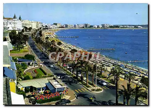 Cartes postales moderne La Cote d'Azur Cannes La Croisette