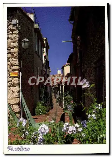 Cartes postales moderne Antibes Alpes Maritimes Une rue fleurie du vieil Antibes