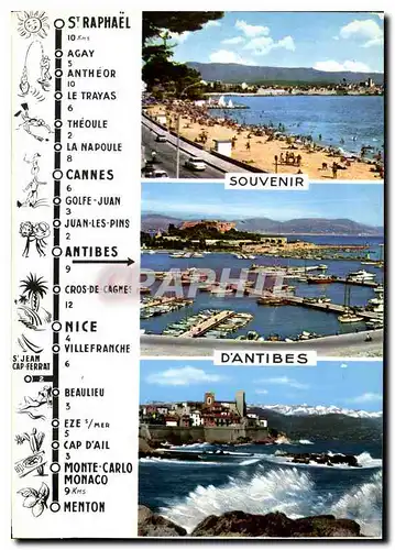 Cartes postales moderne Souvenir d'Antibes