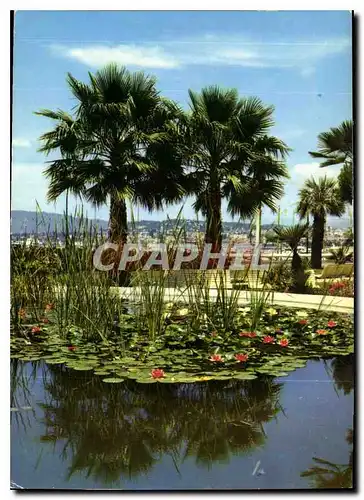 Cartes postales moderne Cannes Jardin du Port Pierre Canto