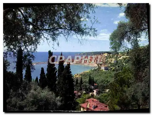 Cartes postales moderne Menton AM Vue generale prise a travers les oliviers