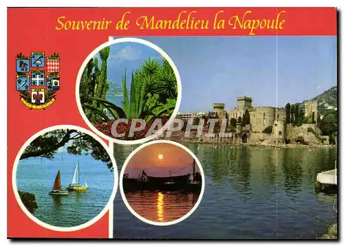 Cartes postales moderne Souvenir de Mandelieu la Napoule Le Chateau