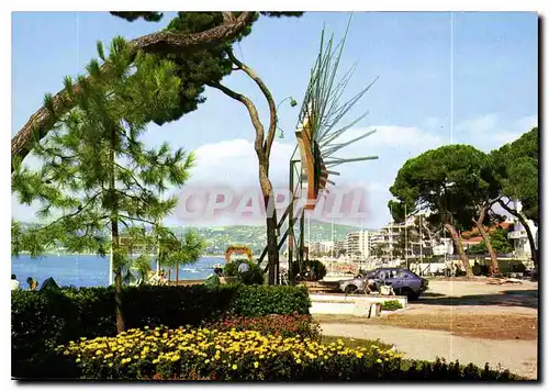 Cartes postales moderne Juan les Pins La Pinede