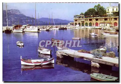 Cartes postales moderne St Jean Cap Ferrat AM