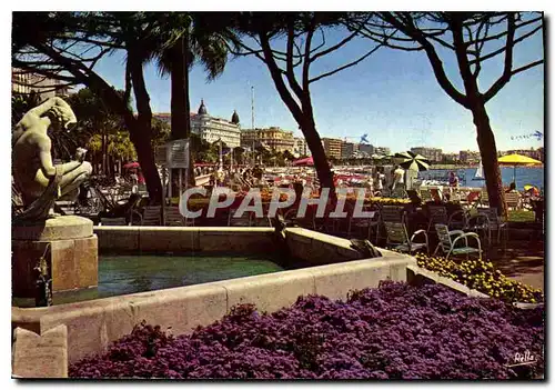 Cartes postales moderne Cannes AM Jardin de la Croisette Ecchapee vers la plage et les Palaces