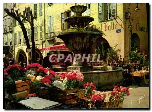 Cartes postales moderne La Cote d'Azur miracle de la nature Grasse Alpes Maritimes