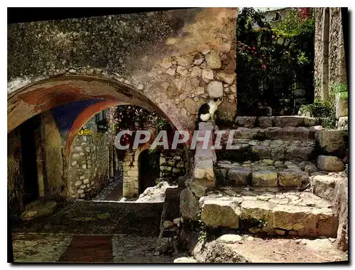 Cartes postales moderne Eze Alpes Maritimes Vieille rue pittoresque