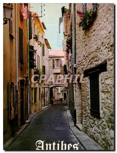 Moderne Karte Antibes Vieille Rue