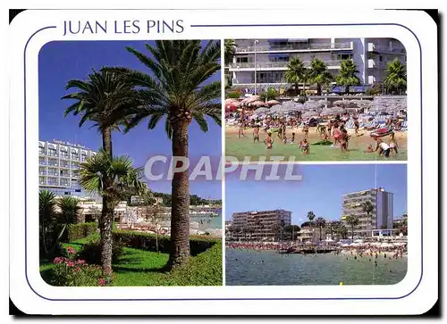 Cartes postales moderne Juan les Pins Cote d'Azur