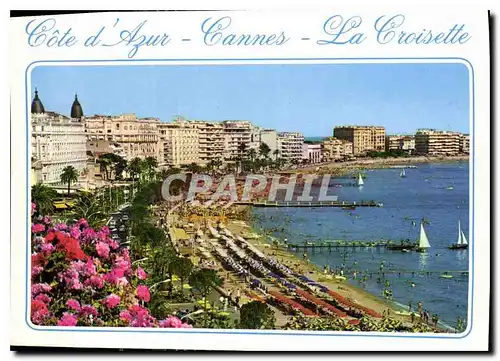 Cartes postales moderne Cote d'Azur Cannes La Croisette