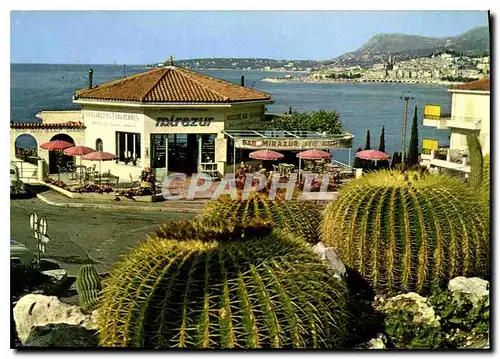 Cartes postales moderne Menton Frontiere Le Mirazur Menton Le Cap Martin Bar Biere