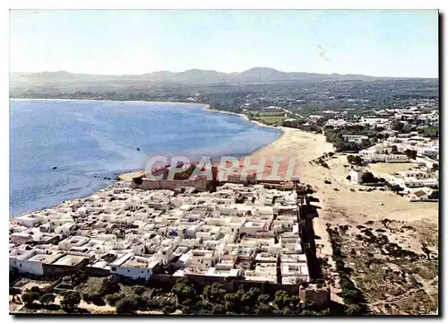 Cartes postales moderne Hammamet