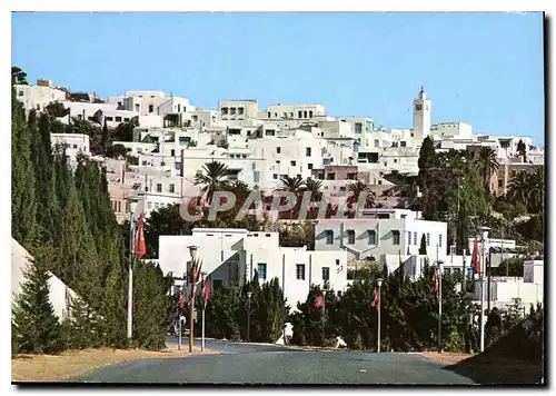 Cartes postales moderne Sidi Bou Said Vue Panoramique