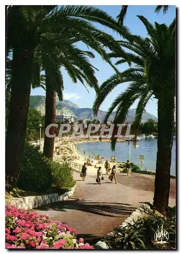 Cartes postales moderne La Cote d'Azur Beaulieu sur Mer La Baie des Fourmis