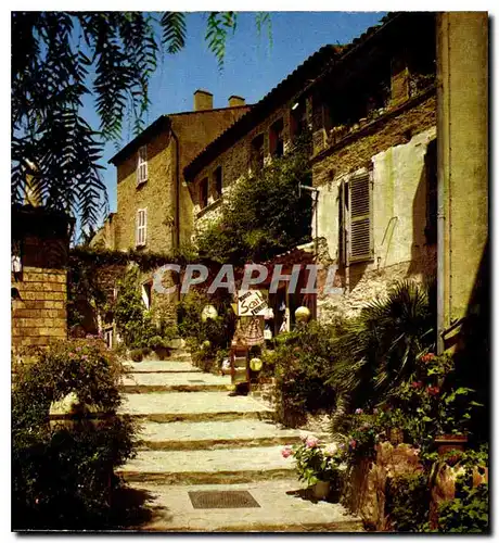 Cartes postales moderne Un joli coin de Provence