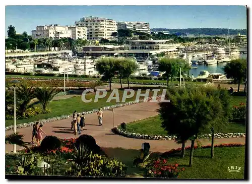 Cartes postales moderne Cannes A Mmes Le Port Canto et les Jardins