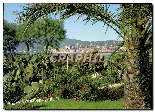 Cartes postales moderne Cote d'Azur Cannes