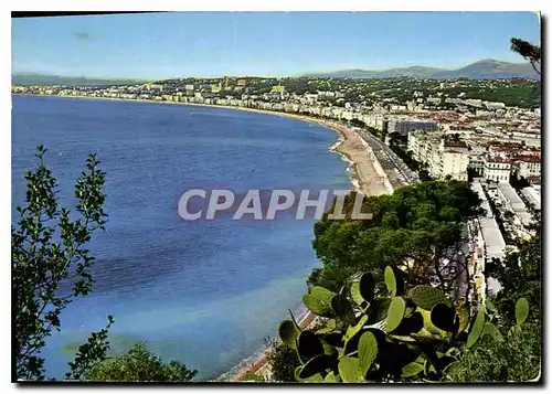 Cartes postales moderne Nice Cote d'Azur La Baie des Anges Angel Bay Die Engelsbucht La Baia degli Angeli