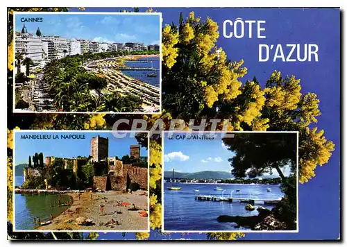 Cartes postales moderne Souvenir de la Cote d'Azur Le Cap d'Antibes Cannes Mandelieu La Napoule