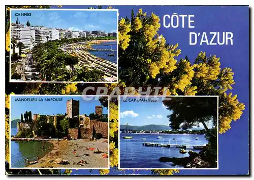 Moderne Karte Souvenir de la Cote d'Azur Le Cap d'Antibes Cannes Mandelieu La Napoule