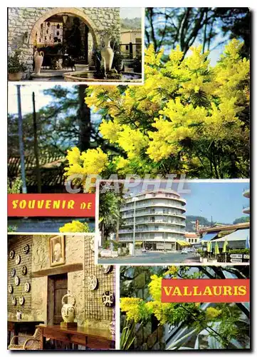 Cartes postales moderne Au Soleil de La Cote d'Azur Vallauris Reflets de Vallauris