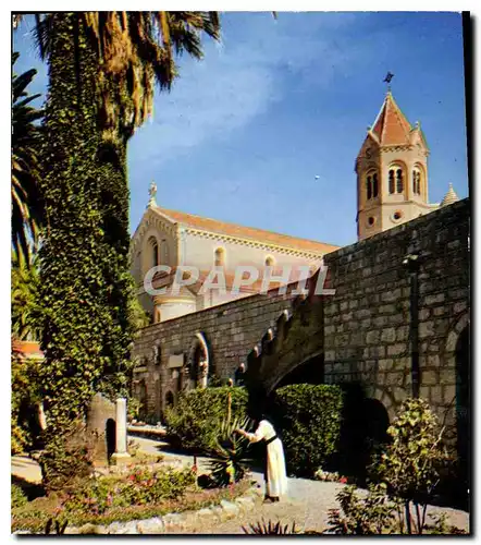 Cartes postales moderne Ile St Honorat Cannes Alpes Maritimes Abbaye de Norte Dame de Lerins Le Jardin de St Bernard