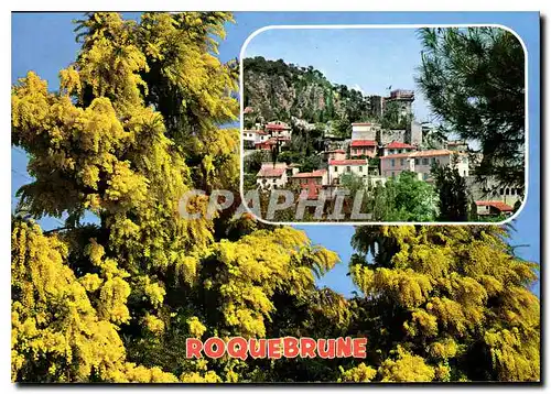 Cartes postales moderne Roquebrune