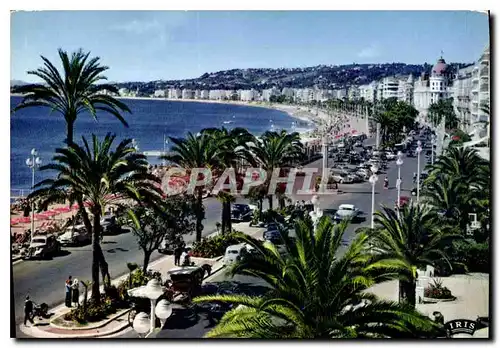 Cartes postales moderne La Cote d'Azur French Riviera Nice La Promenade des Anglais