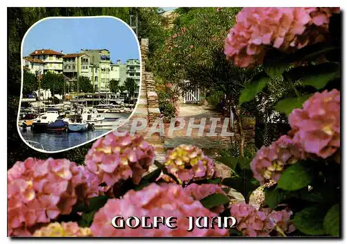 Cartes postales moderne Golfe Juan Cote d'Azur