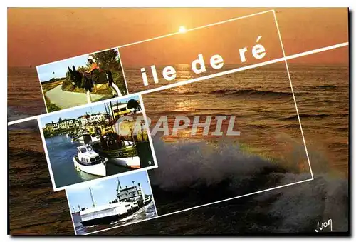 Cartes postales moderne Ile De Re Charente Maritime