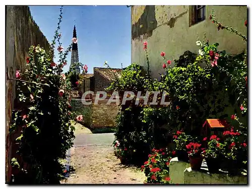 Moderne Karte Ile De Re Charente Maritime 17 Une jolie venelle en fleurs