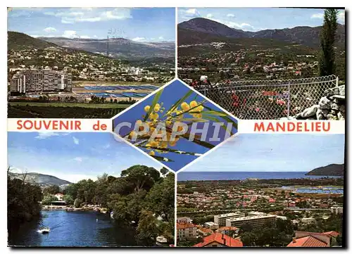 Cartes postales moderne Mandelieu Souvenir de Mandelieu