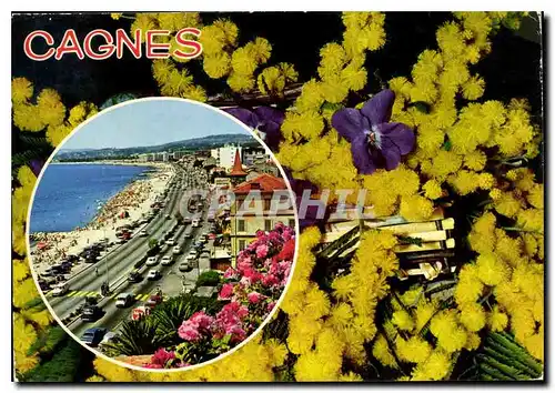 Cartes postales moderne Cote d'Azur French Riviera Cros de Cagnes Alpes Maritimes