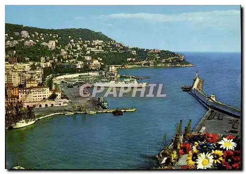 Cartes postales moderne Nice Cote d'Azur French Riviera Le Vieux Port
