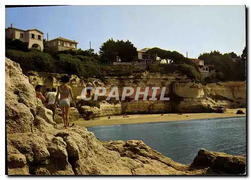 Cartes postales moderne Meschers Char Mar Conche de Cadet