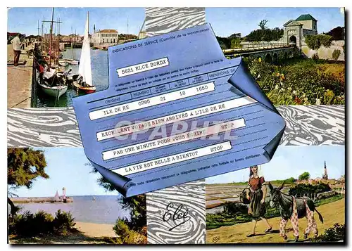 Cartes postales moderne Ile De Re Re Char Marit de gauche a droite